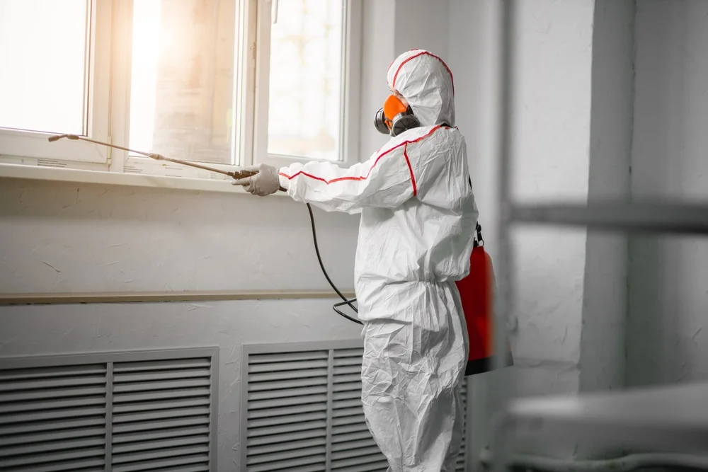 Professional mold remediation services in Butte Des Morts, WI